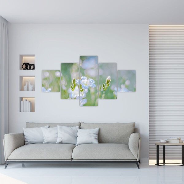 Obraz - Delikatne kwiaty (125x70 cm)