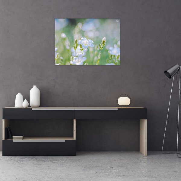 Obraz - Delikatne kwiaty (70x50 cm)
