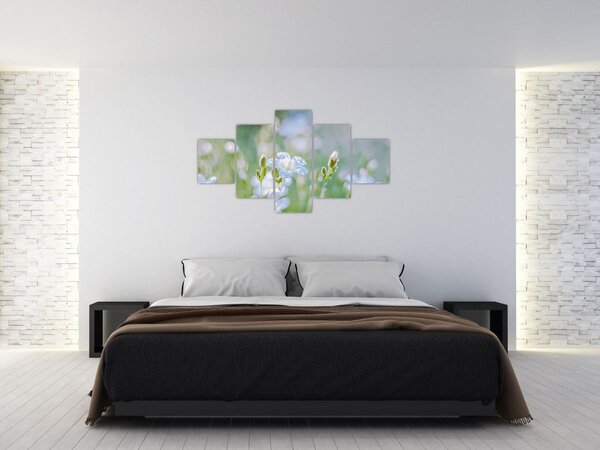 Obraz - Delikatne kwiaty (125x70 cm)
