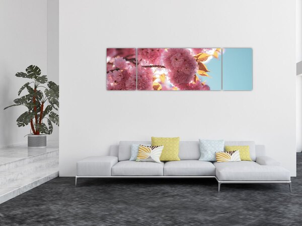 Obraz - Kwiat wiśni (170x50 cm)