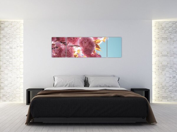 Obraz - Kwiat wiśni (170x50 cm)