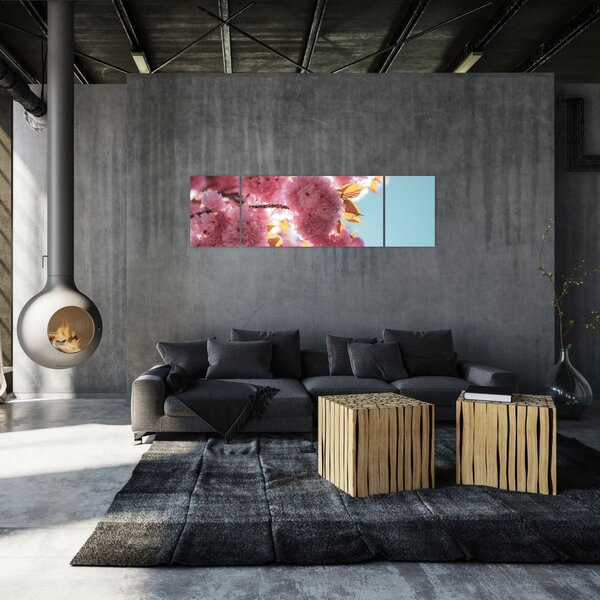 Obraz - Kwiat wiśni (170x50 cm)