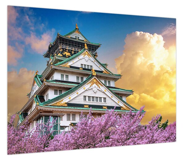 Obraz - Zamek Osaka (70x50 cm)