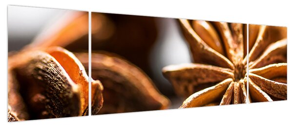 Obraz - Anyż (170x50 cm)