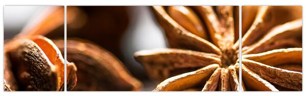Obraz - Anyż (170x50 cm)