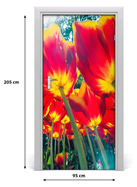 Nalepka Naklejka fototapeta na drzwi tulipany