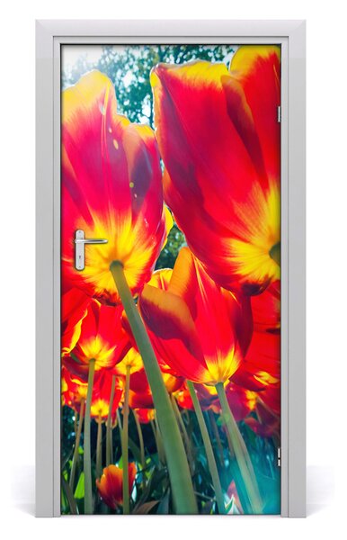 Nalepka Naklejka fototapeta na drzwi tulipany