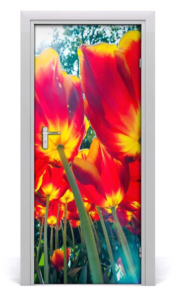 Nalepka Naklejka fototapeta na drzwi tulipany