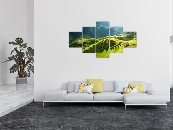 Obraz - Koncert w Tarasach Ryżowych (125x70 cm)