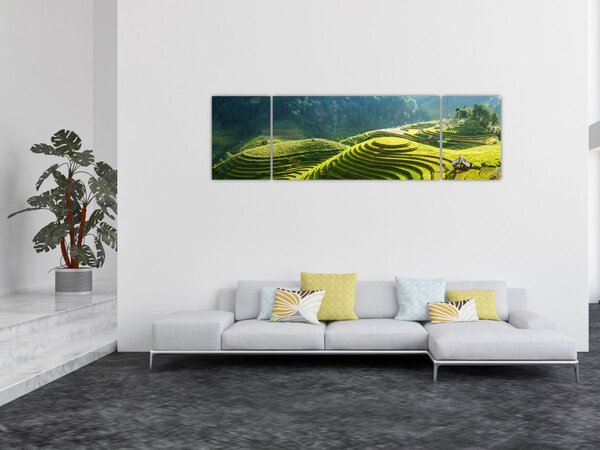 Obraz - Koncert w Tarasach Ryżowych (170x50 cm)