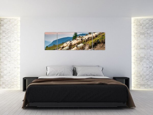 Obraz - Stado owiec (170x50 cm)