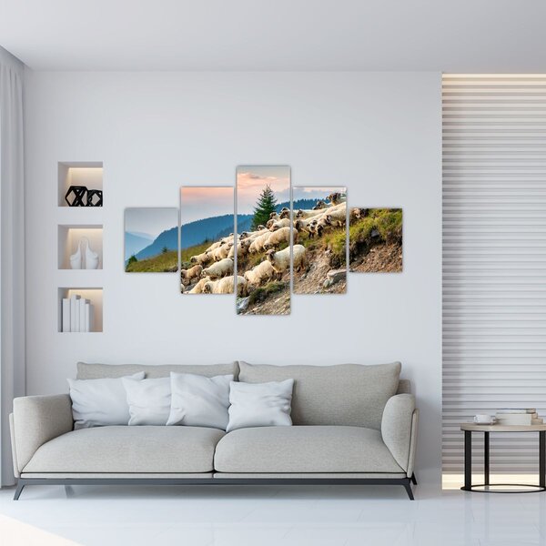Obraz - Stado owiec (125x70 cm)