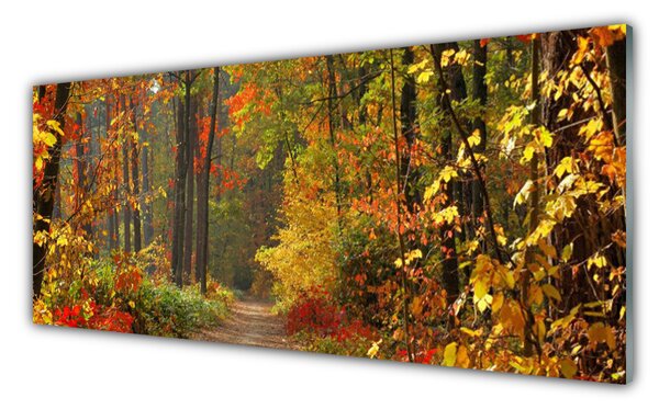 Obraz Szklany Las Natura Jesień