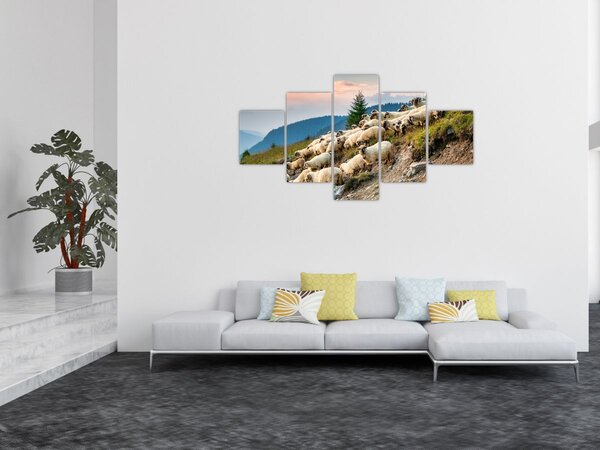 Obraz - Stado owiec (125x70 cm)