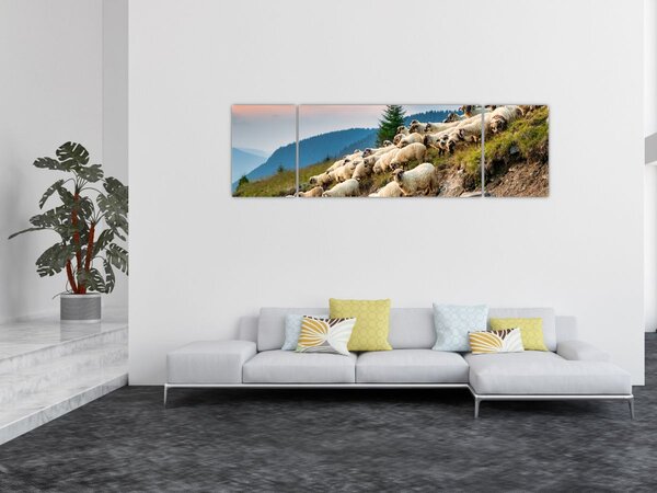 Obraz - Stado owiec (170x50 cm)