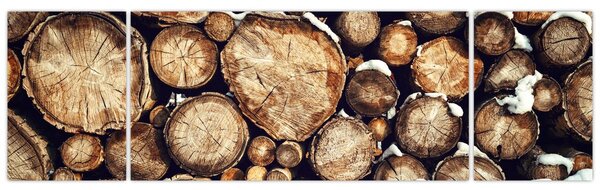 Obraz - Drewno w śniegu (170x50 cm)