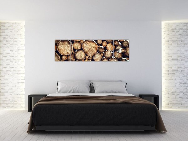 Obraz - Drewno w śniegu (170x50 cm)