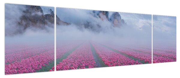 Obraz - Krajobraz z polami tulipanów (170x50 cm)