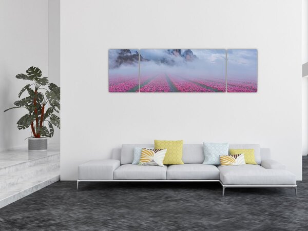 Obraz - Krajobraz z polami tulipanów (170x50 cm)
