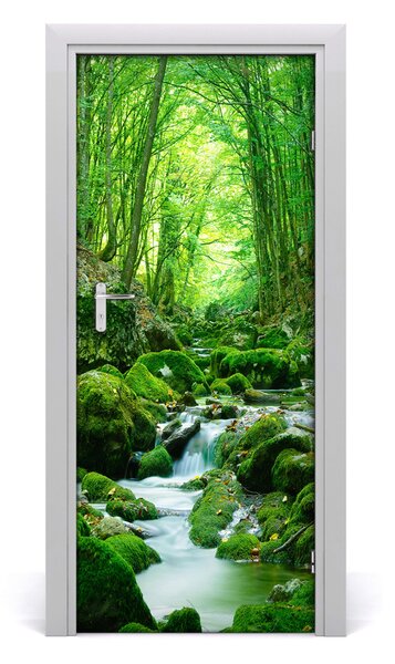 Naklejka fototapeta na drzwi Potok w dżungli