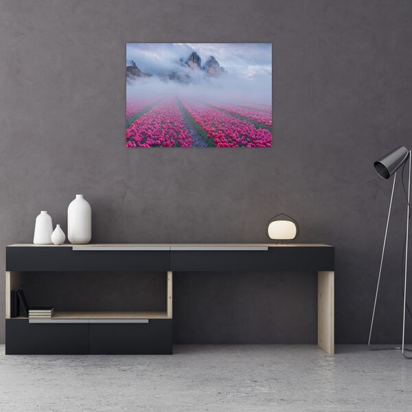 Obraz - Krajobraz z polami tulipanów (70x50 cm)