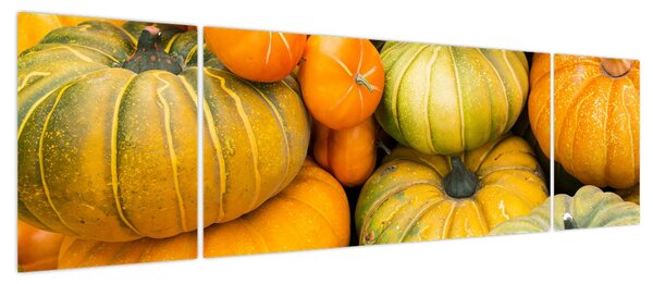 Obraz - Jesienna dynia (170x50 cm)
