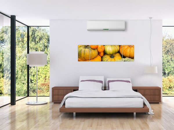 Obraz - Jesienna dynia (170x50 cm)