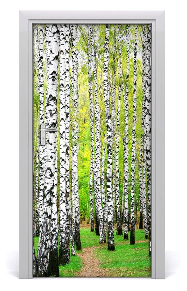 Naklejka fototapeta na drzwi Las brzozowy