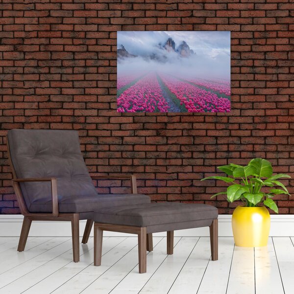 Obraz - Krajobraz z polami tulipanów (70x50 cm)