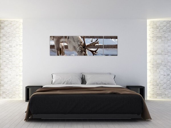 Obraz - Sat (170x50 cm)