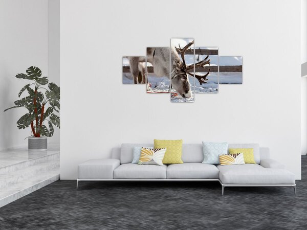 Obraz - Sat (125x70 cm)