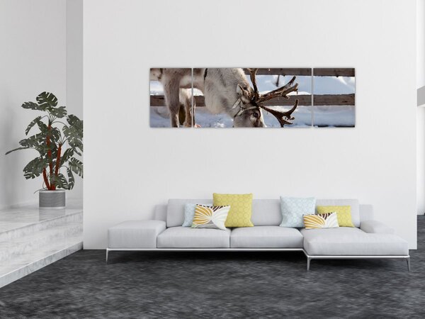 Obraz - Sat (170x50 cm)