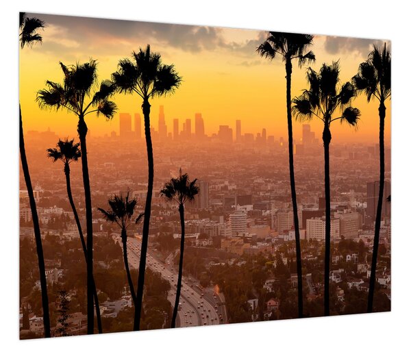 Obraz - Panorama Los Angeles (70x50 cm)