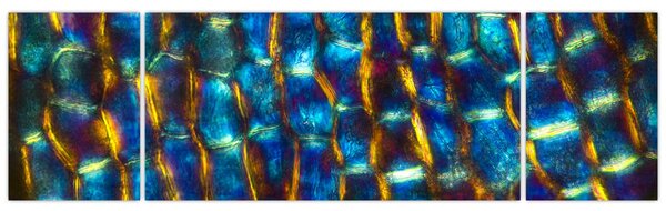 Obraz - Ściana komórkowa (170x50 cm)