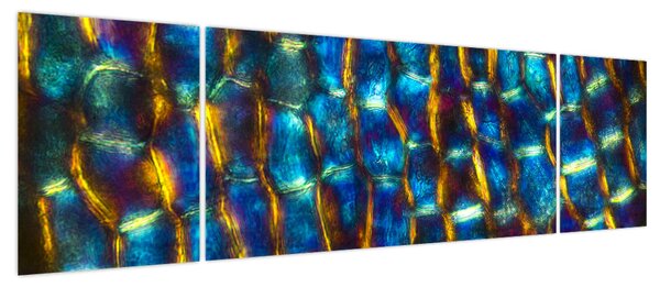 Obraz - Ściana komórkowa (170x50 cm)