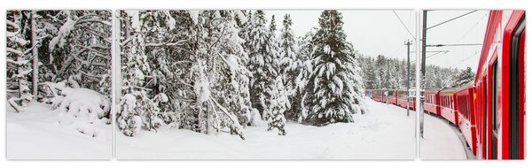 Obraz - Pociąg w zaśnieżonym krajobrazie (170x50 cm)