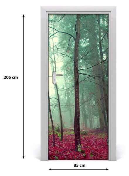 Naklejka fototapeta na drzwi Las jesienią