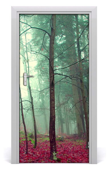 Naklejka fototapeta na drzwi Las jesienią