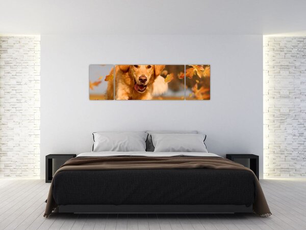 Obraz - Golden Retriever (170x50 cm)