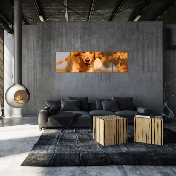 Obraz - Golden Retriever (170x50 cm)