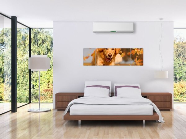 Obraz - Golden Retriever (170x50 cm)