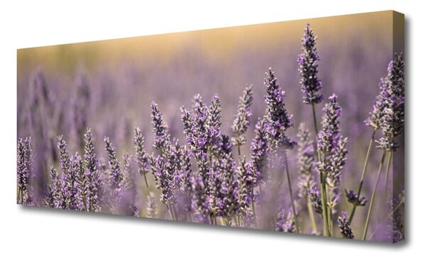 Obraz canvas Wiosenny Powiew Kwiatów