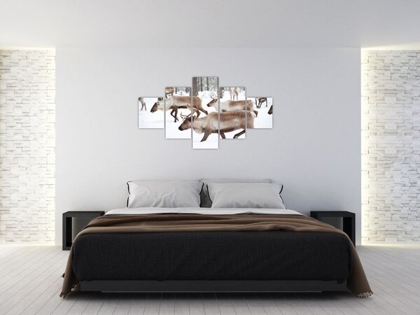 Obraz - Renifer (125x70 cm)