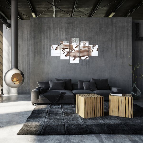 Obraz - Renifer (125x70 cm)