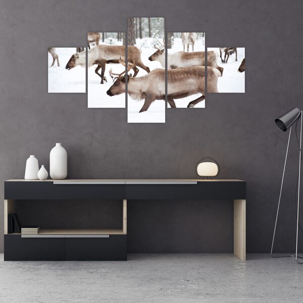 Obraz - Renifer (125x70 cm)