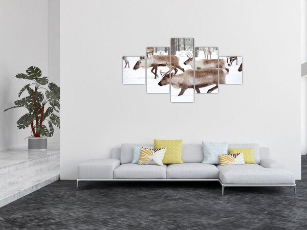 Obraz - Renifer (125x70 cm)