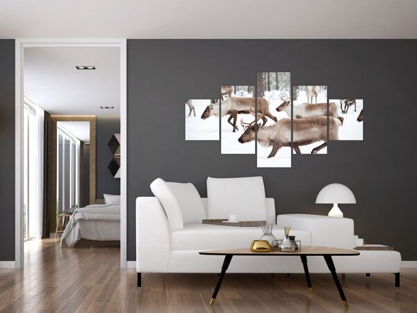 Obraz - Renifer (125x70 cm)