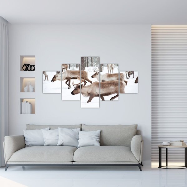 Obraz - Renifer (125x70 cm)