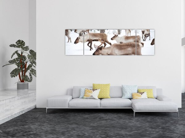 Obraz - Renifer (170x50 cm)