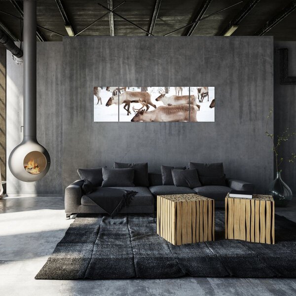 Obraz - Renifer (170x50 cm)